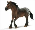 /album/schleich-hastar-hastar/dfegjyhg-png/
